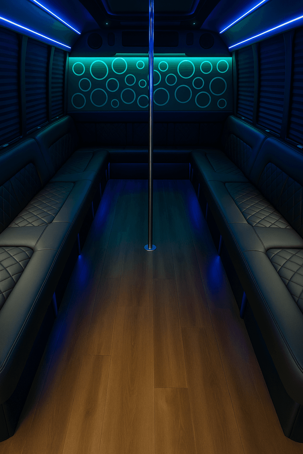 20 Passenger Party Bus interior