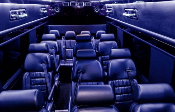 14 Passenger Executive Sprinter Chicago - Image 4