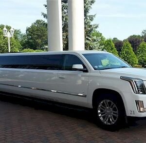 20 Passenger Cadillac Stretch Limo Chicago