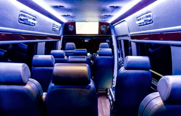 14 Passenger Executive Sprinter Chicago - Image 3